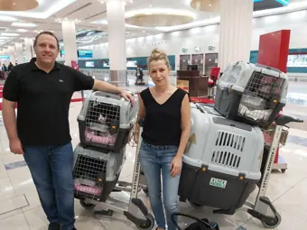 A smiling couple with their pets’ travel carriers at the airport.