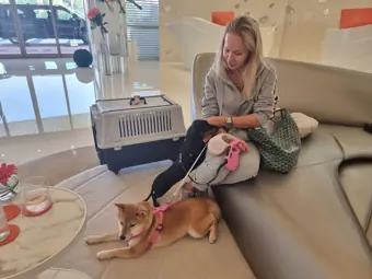 A woman sitting at home with her dogs.